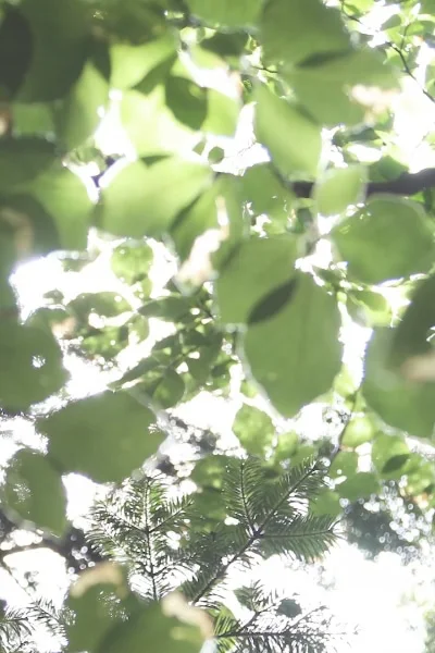 Etické a udržitelné