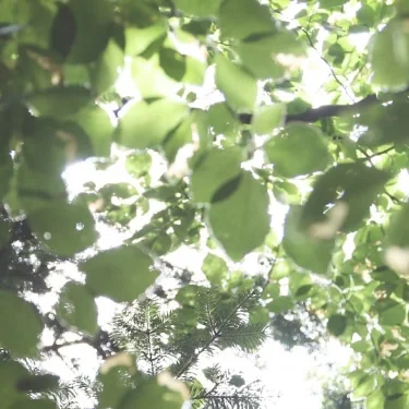 Etické a udržitelné